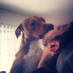 Meet your Posher, Steve